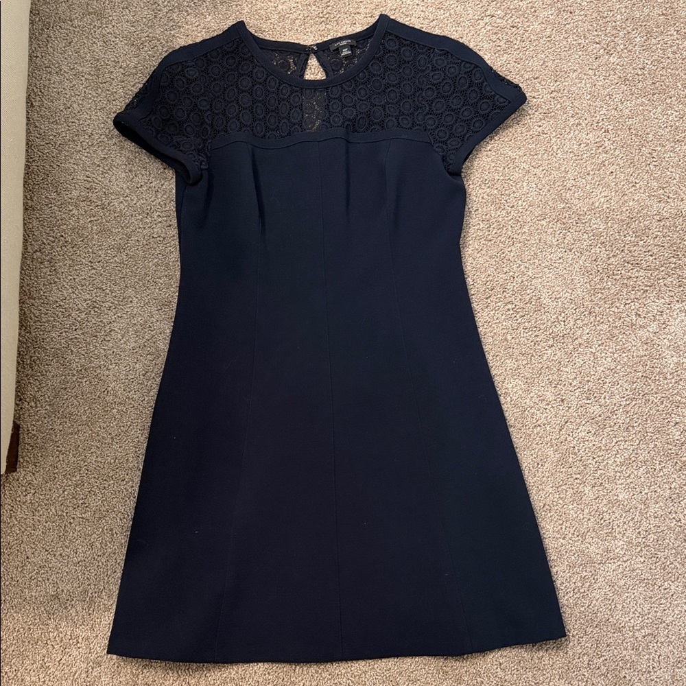 Ann Taylor Navy Lace Yoke Cap Sleeve Mini Dress